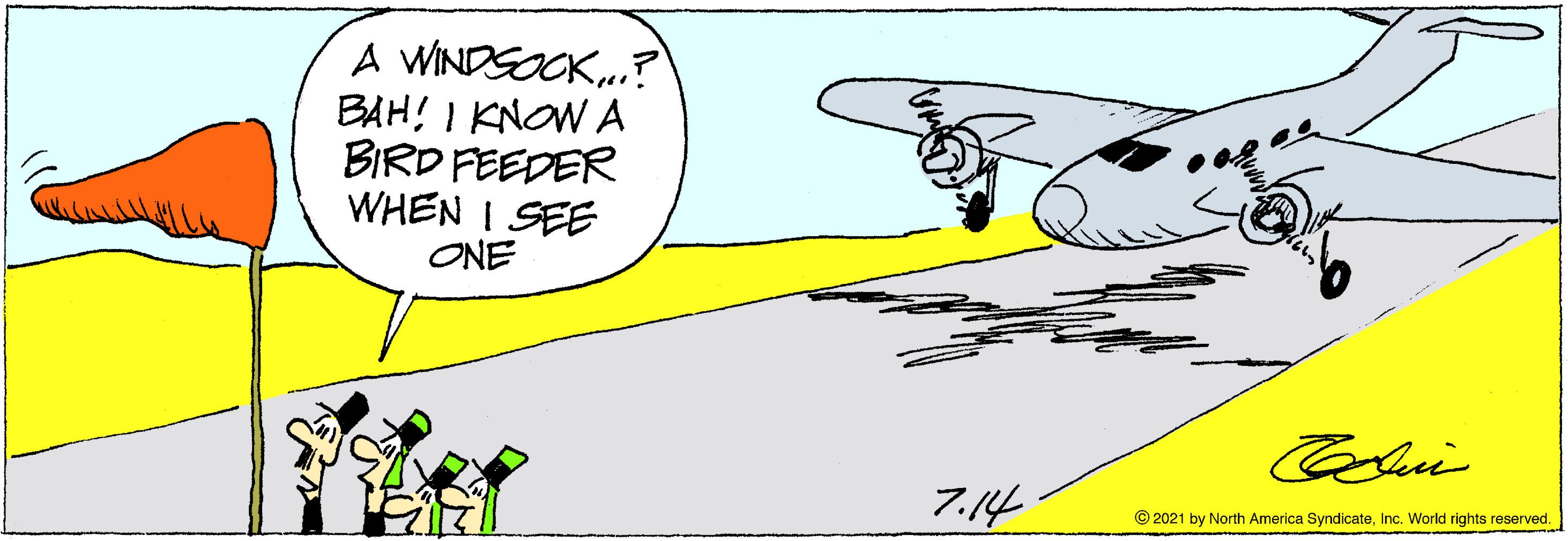Illustration OCR: A WINDSOCK..? BAH! I KNOW A BIRD FEEDER WHEN I SEE ONE 7.14 © 2021 by North America SyndicateInc. World rights reserved. A WINDSOCK..? BAH! I KNOW A BIRD FEEDER WHEN I SEE ONE 7.14 © 2021 by North America SyndicateInc. World rights reserved.