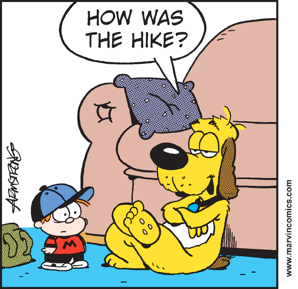 Line OCR: HOW WAS THE HIKE? www.marvincomics.com HOW WAS THE HIKE? www.marvincomics.com