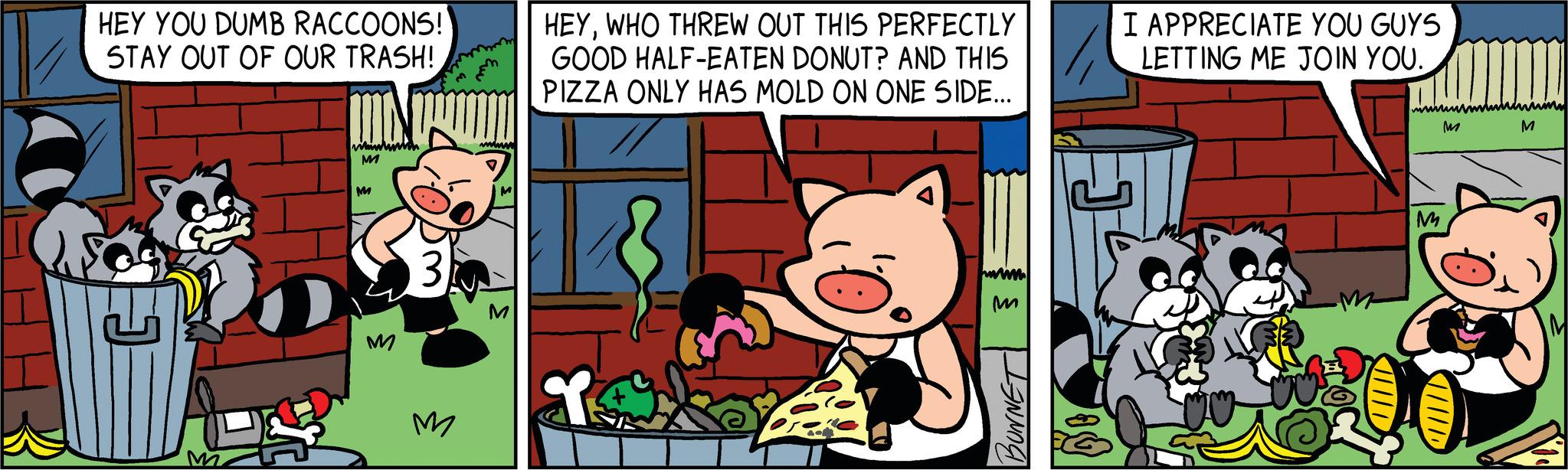 Comic book OCR: HEY YOU DUMB RACCOONS!! STAY OUT OF OUR TRASH! www M M M M HEYWHO THREW OUT THIS PERFECTLY GOOD HALF-EATEN DONUT? AND THIS PIZZA ONLY HAS MOLD ON ONE SIDE... • www. M ANNO I APPRECIATE YOU GUYS LETTING ME JOIN YOU. M M M HEY YOU DUMB RACCOONS !! STAY OUT OF OUR TRASH ! www M M M M HEYWHO THREW OUT THIS PERFECTLY GOOD HALF - EATEN DONUT ? AND THIS PIZZA ONLY HAS MOLD ON ONE SIDE ... • www . M ANNO I APPRECIATE YOU GUYS LETTING ME JOIN YOU . M M M
