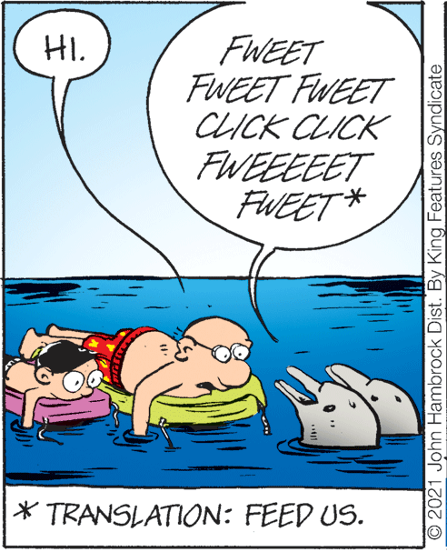 Line OCR: HI. FWEET FWEET FWEET CLICK CLICK FWEEEEET FWEET* * TRANSLATION: FEED US. O 2021 John Hambrock Dist. By King Features Syndicate HI. FWEET FWEET FWEET CLICK CLICK FWEEEEET FWEET* * TRANSLATION: FEED US. O 2021 John Hambrock Dist. By King Features Syndicate