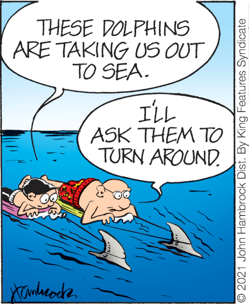 Happy OCR: THESE DOLPHINS ARE TAKING US OUT TO SEA. ILL ASK THEM TO TURN AROUND. Kanheode O 2021 John Hambrock Dist. By King Features Syndicate THESE DOLPHINS ARE TAKING US OUT TO SEA. ILL ASK THEM TO TURN AROUND. Kanheode O 2021 John Hambrock Dist. By King Features Syndicate