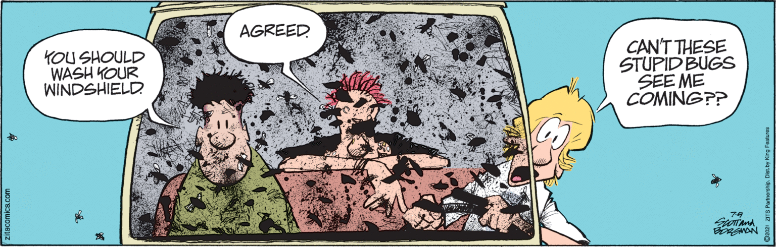Comics OCR: AGREED YOU SHOULD WASH KOUR WINDSHIELD. CAN'T THESE STUPID BUGS SEE ME COMING?? ?? citscomics.com AGREED YOU SHOULD WASH KOUR WINDSHIELD. CAN'T THESE STUPID BUGS SEE ME COMING?? ?? citscomics.com