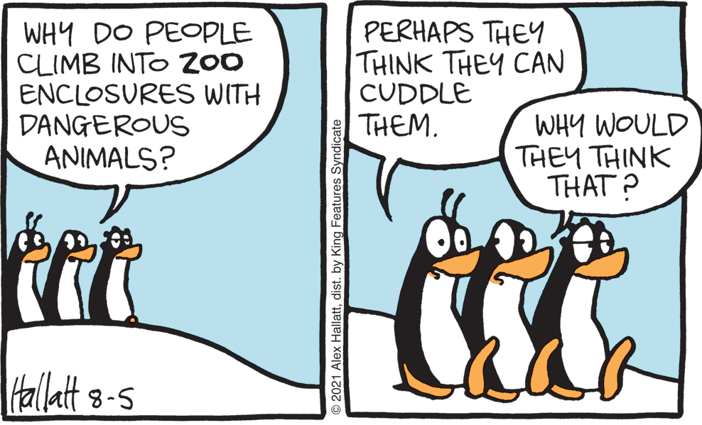 Gesture OCR: WHY DO PEOPLE CLIMB INTO 200 ENCLOSURES WITH DANGEROUS ANIMALS? PERHAPS THEY THINK THEY CAN CUDDLE THEM. WHY WOULD THEY THINK THAT ? Htallatt8-s © 2021 Alex Hallattdist. by King Features Syndicate WHY DO PEOPLE CLIMB INTO 200 ENCLOSURES WITH DANGEROUS ANIMALS? PERHAPS THEY THINK THEY CAN CUDDLE THEM. WHY WOULD THEY THINK THAT ? Htallatt8-s © 2021 Alex Hallattdist. by King Features Syndicate