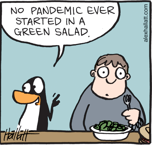 Handwriting OCR: NO PANDEMIC EVER STARTED IN A GREEN SALAD. THallatt alexhallatt.com NO PANDEMIC EVER STARTED IN A GREEN SALAD. THallatt alexhallatt.com