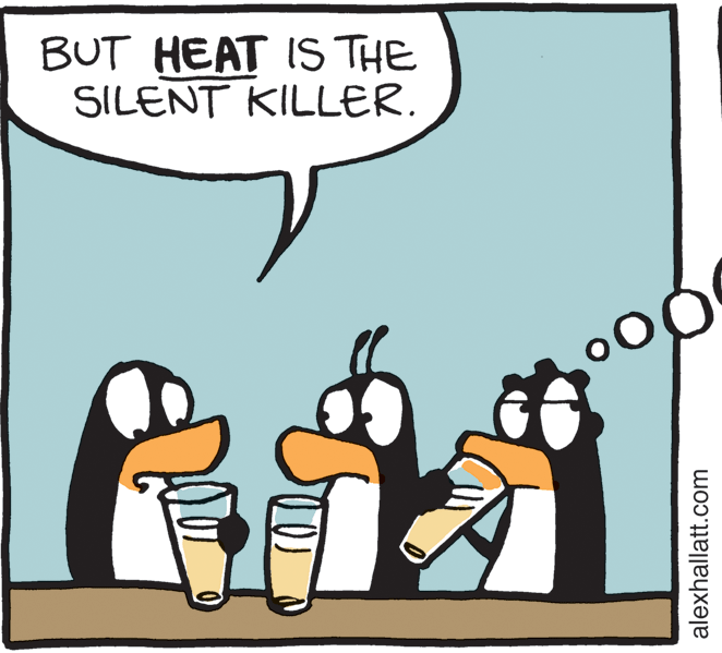 Rectangle OCR: BUT HEAT IS THE SILENT KILLER. alexhallatt.com BUT HEAT IS THE SILENT KILLER. alexhallatt.com