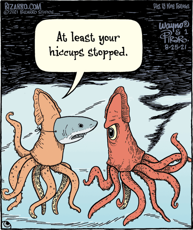 Gesture OCR: Wayno® '& 1 At least your 8-25-21 hicecups stopped. Dist. 9 King Features © 2021 BIZARRO STUDIOS BIZARRO.COM Wayno® '& 1 At least your 8-25-21 hicecups stopped. Dist. 9 King Features © 2021 BIZARRO STUDIOS BIZARRO.COM