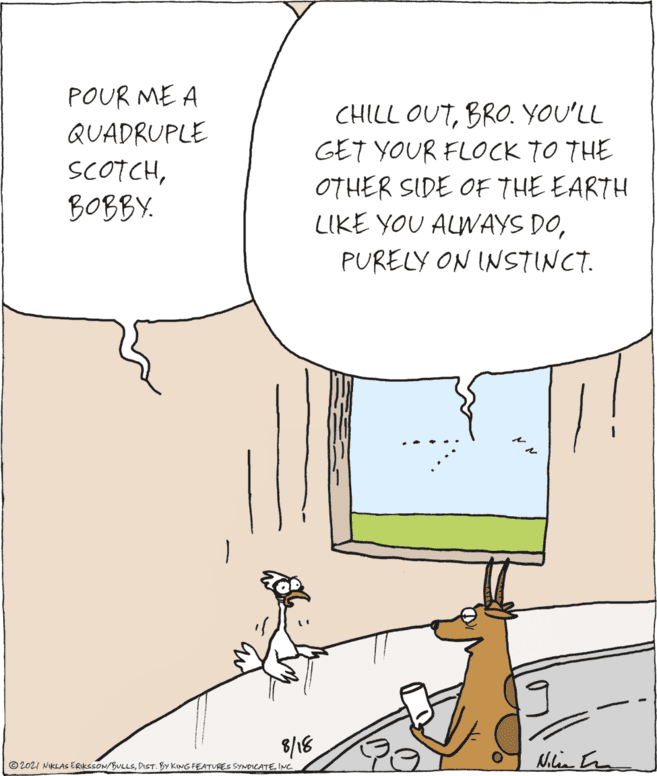 Art OCR: POUR ME A CHILL OUTBRO. YOU'LL GET YOUR FLOCK TO THE QUADRUPLE SCOTCHBOBBY. OTHER SIDE OF THE EARTH LIKE YOU ALWAYS DOPURELY ON INSTINCT. 8/18 ©2021 NiKLAs ERIKSSON/BULLSINC. POUR ME A CHILL OUTBRO. YOU'LL GET YOUR FLOCK TO THE QUADRUPLE SCOTCHBOBBY. OTHER SIDE OF THE EARTH LIKE YOU ALWAYS DOPURELY ON INSTINCT. 8/18 ©2021 NiKLAs ERIKSSON/BULLSDIST. BY KING FEATURES SYNDICATE