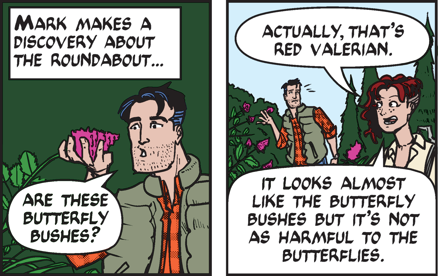 Conversation OCR: MARK MAKES A DISCOVERY ABOUT THE ROUNDABOUT... ACTUALLYTHAT'S RED VALERIAN. ARE THESE BUTTERFLY BUSHES? IT LOOKS ALMOST LIKE THE BUTTERFLY BUSHES BUT IT'S NOT AS HARMFUL TO THE BUTTERFLIES. MARK MAKES A DISCOVERY ABOUT THE ROUNDABOUT... ACTUALLYTHAT'S RED VALERIAN. ARE THESE BUTTERFLY BUSHES? IT LOOKS ALMOST LIKE THE BUTTERFLY BUSHES BUT IT'S NOT AS HARMFUL TO THE BUTTERFLIES.