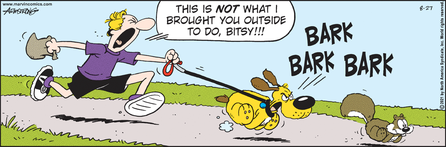 Drawing OCR: www.marvincomics.com THIS IS NOT WHAT I BROUGHT YOU OUTSIDE TO DOBITSY!!! 8-27 BARK BARK BARK www.marvincomics.com THIS IS NOT WHAT I BROUGHT YOU OUTSIDE TO DOBITSY!!! 8-27 BARK BARK BARK