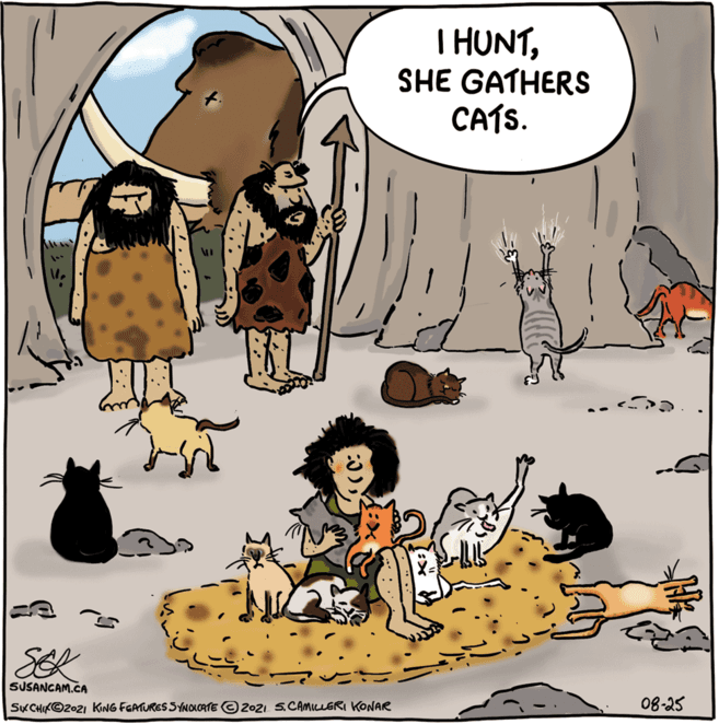 Art OCR: T HUNTSHE GATHERS CATS. SEK SUSANGAM.CA SKCHIK©2021 KING FEATURES SYNOLCATE ©2021 S.CAMICLERI KONAR 08-25 T HUNTSHE GATHERS CATS. SEK SUSANGAM.CA SKCHIK©2021 KING FEATURES SYNOLCATE ©2021 S.CAMICLERI KONAR 08-25