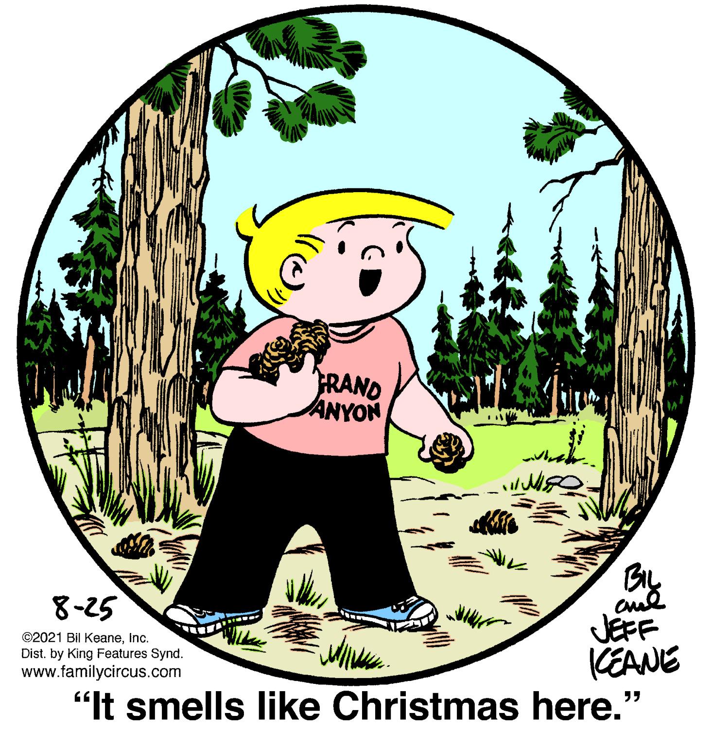 Rectangle OCR: RAND ANYON 8-25 JEFF CEANE ©2021 Bil KeaneInc. Dist. by King Features Synd. www.familycircus.com "It smells like Christmas here." RAND ANYON 8-25 JEFF CEANE ©2021 Bil KeaneInc. Dist. by King Features Synd. www.familycircus.com "It smells like Christmas here."