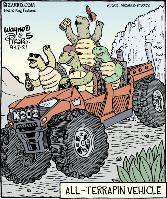 Mode of transport OCR: © 2021 BIZARRO STUDIOS BIZARRO.COM Dist. b9 King Features EYE Wayno® 9-17.21 K202 EEEEEEEFF ALL-TERRAPIN VEHICLE © 2021 BIZARRO STUDIOS BIZARRO.COM Dist. b9 King Features EYE Wayno® 9-17.21 K202 EEEEEEEFF ALL-TERRAPIN VEHICLE