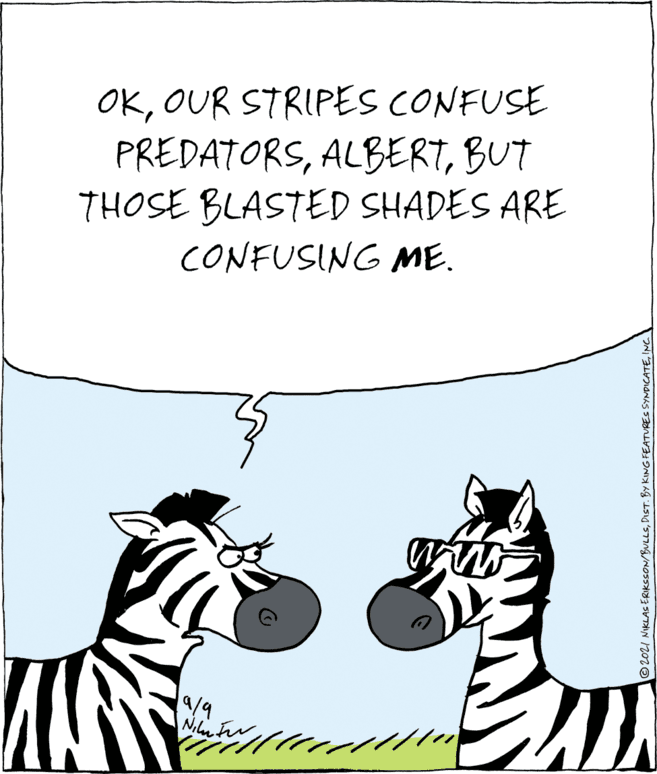 Cartoon OCR: OKOUR STRIPES CONFUSE PREDATORSBUT THOSE BLASTED SHADES ARE CONFUSING ME. 9/9 ©2021 NIKLAS ERIKSSON/BULLSOUR STRIPES CONFUSE PREDATORSBUT THOSE BLASTED SHADES ARE CONFUSING ME. 9/9 ©2021 NIKLAS ERIKSSON/BULLSDIST. BY KING FEATURES SYNDICATE
