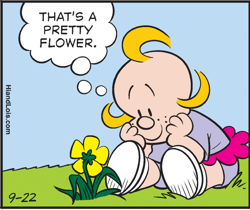 Grass OCR: THAT'S A PRETTY FLOWER. 9-22 HiandLois.com THAT'S A PRETTY FLOWER. 9-22 HiandLois.com