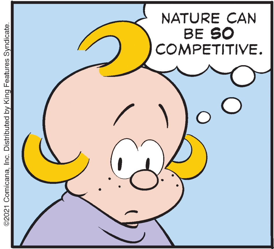 Gesture OCR: NATURE CAN BE SO COMPETITIVE. ©2021 ComicanaInc. Distributed by King Features Syndicate. NATURE CAN BE SO COMPETITIVE. ©2021 ComicanaInc. Distributed by King Features Syndicate.
