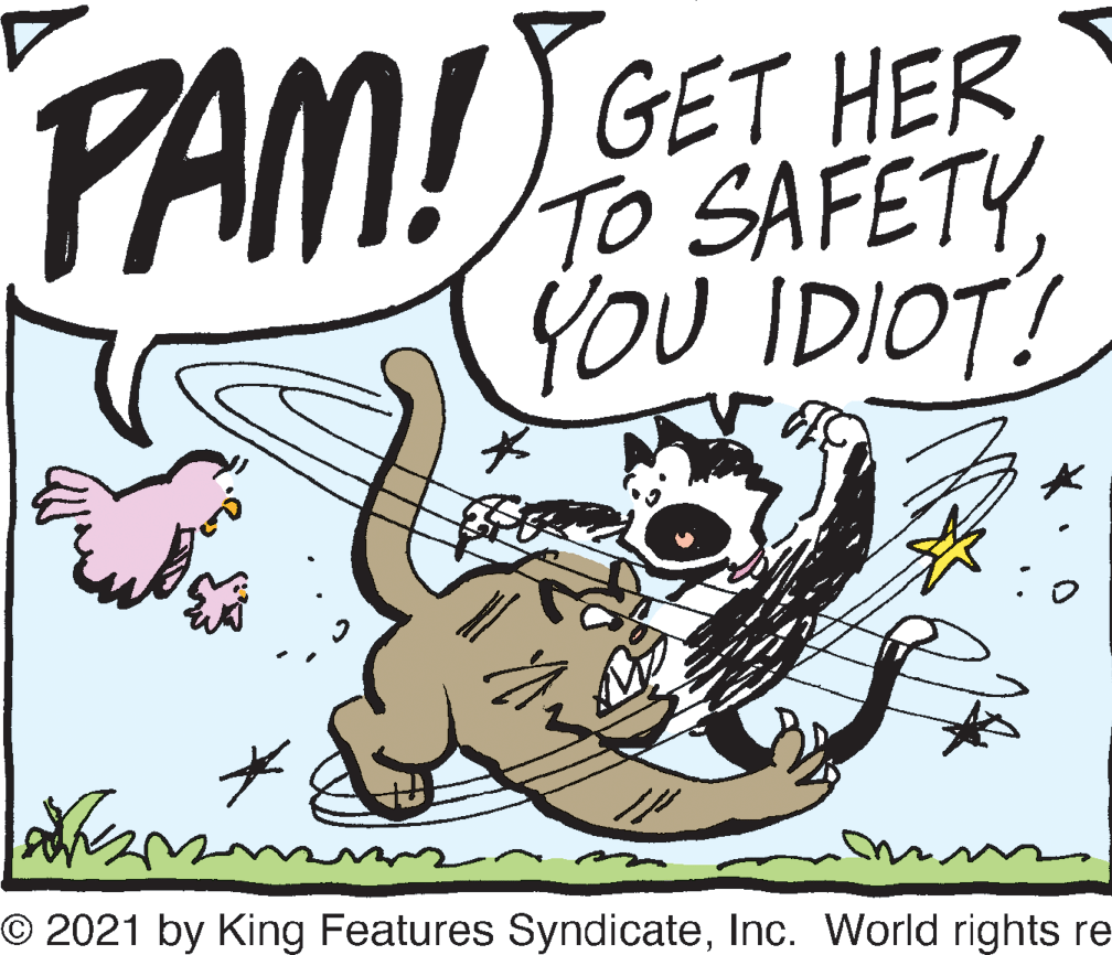 Illustration OCR: GET HER To SAFETY YOU IDIOT! PAM!ESAFETY O 2021 by King Features SyndicateInc. World rights re GET HER To SAFETY YOU IDIOT! PAM!ESAFETY O 2021 by King Features SyndicateInc. World rights re