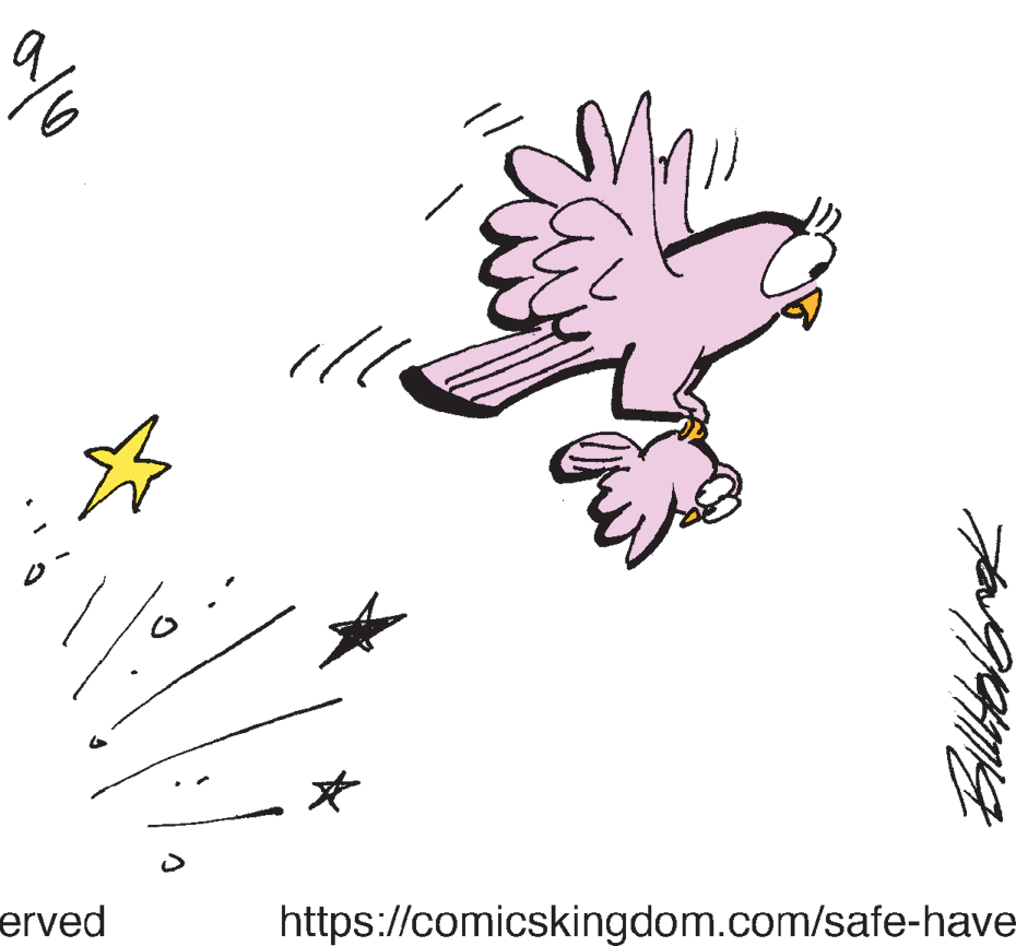 Illustration OCR: erved https://comicskingdom.com/safe-have erved https://comicskingdom.com/safe-have