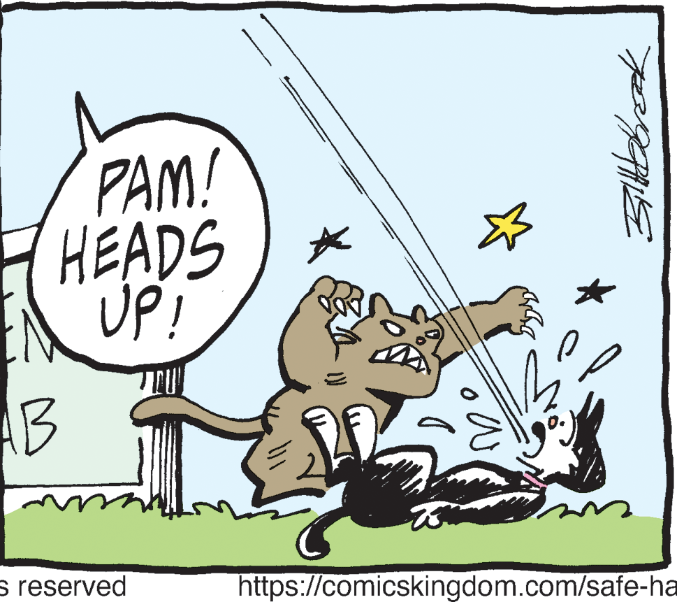 Illustration OCR: PAM! HEADS UP! AB s reserved https://comicskingdom.com/safe-ha PAM! HEADS UP! AB s reserved https://comicskingdom.com/safe-ha