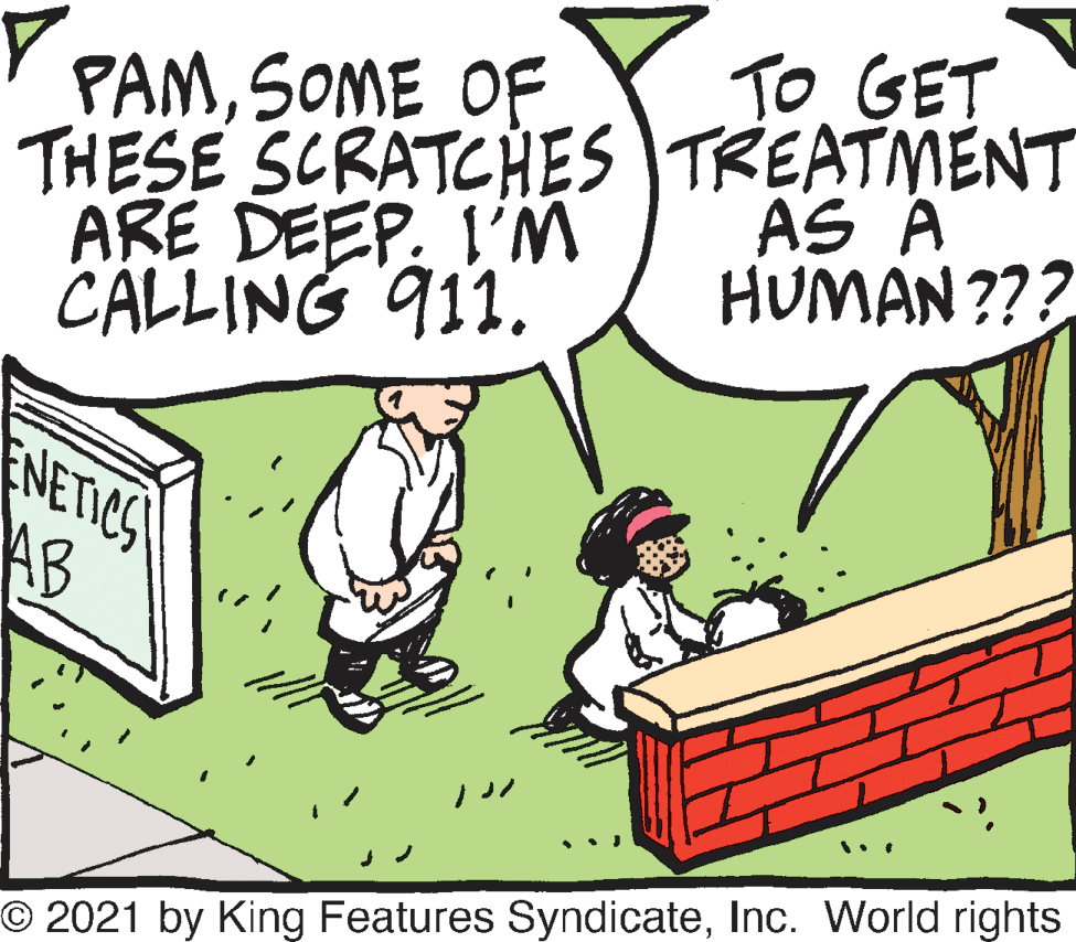 Mammal OCR: TO GET PAMSOME OF THESE SCRATCHES TREATMENT ARE DEEP. I'M CALLING 911. AS A HUMAN ??? NETICS AB O 2021 by King Features SyndicateInc. World rights TO GET PAMSOME OF THESE SCRATCHES TREATMENT ARE DEEP. I'M CALLING 911. AS A HUMAN ??? NETICS AB O 2021 by King Features SyndicateInc. World rights