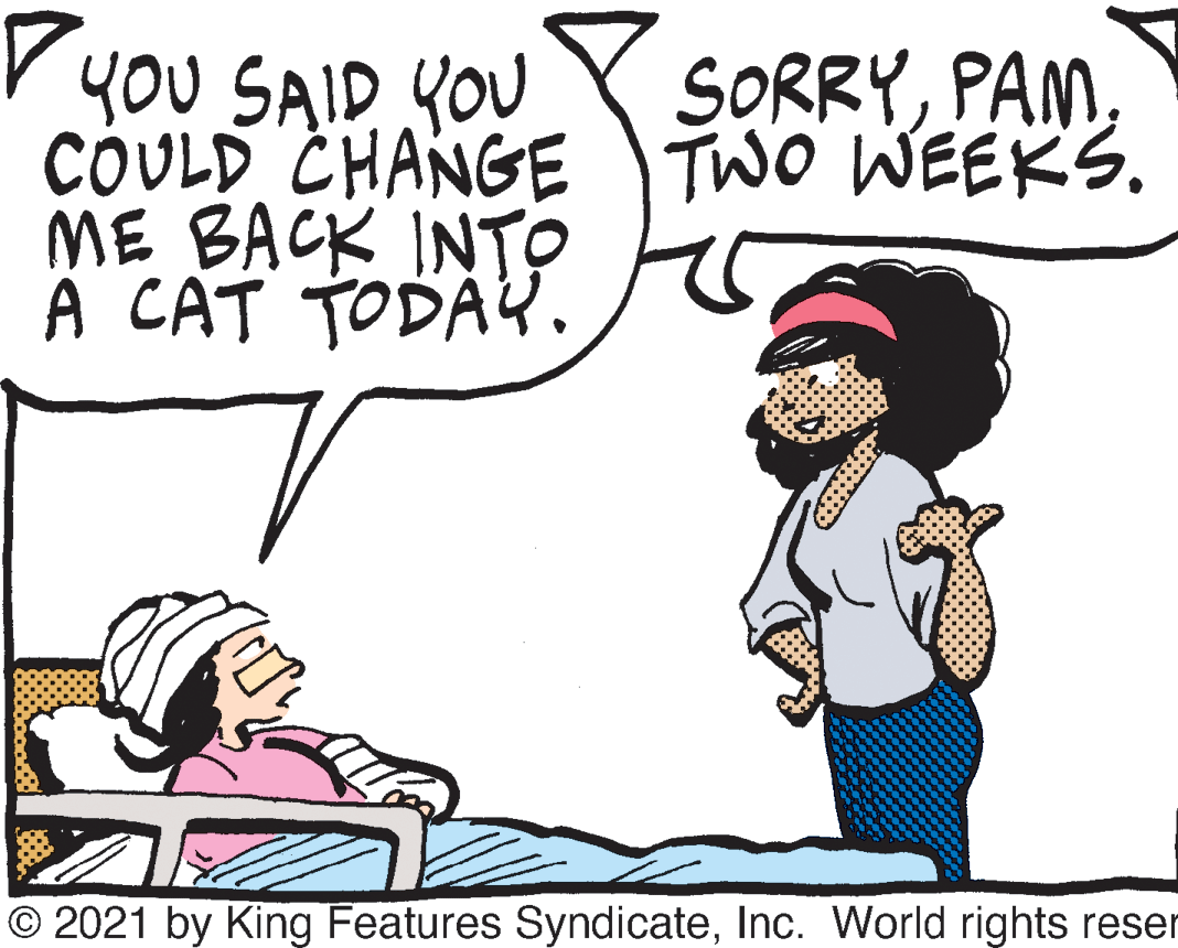 Mammal OCR: r you SAID YOU COULD CHANGE TWO WEEKS. ME BACK INTO A CAT TODAY. SORRYInc. World rights reser r you SAID YOU COULD CHANGE TWO WEEKS. ME BACK INTO A CAT TODAY. SORRY© 2021 by King Features SyndicateInc. World rights reser