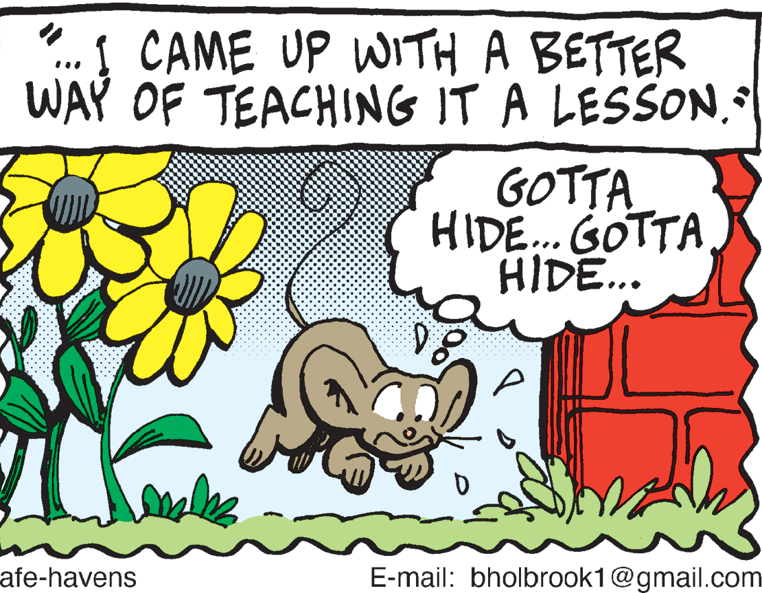 Rectangle OCR: ! CAME UP WITH A BETTER WAY OF TEACHING IT A LESSON ... GOTTA HIDE. GOTTAHIDE... afe-havens E-mail: bholbrook1@gmail.com ! CAME UP WITH A BETTER WAY OF TEACHING IT A LESSON ... GOTTA HIDE. GOTTAHIDE... afe-havens E-mail: bholbrook1@gmail.com