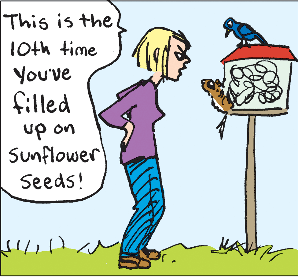 Mammal OCR: This is the 10th time You've filled up on sunflower Seeds! This is the 10th time You've filled up on sunflower Seeds!