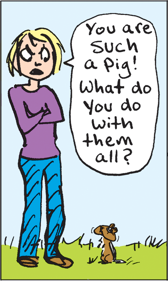 Art OCR: You are Such a pig! What do You do with them all? You are Such a pig! What do You do with them all?