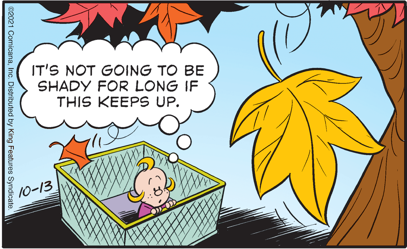 Red OCR: IT'S NOT GOING TO BE SHADY FOR LONG IF THIS KEEPS UP. 10-13 ©2021 ComicanaInc. Distributed by King Features Syndicate IT'S NOT GOING TO BE SHADY FOR LONG IF THIS KEEPS UP. 10-13 ©2021 ComicanaInc. Distributed by King Features Syndicate