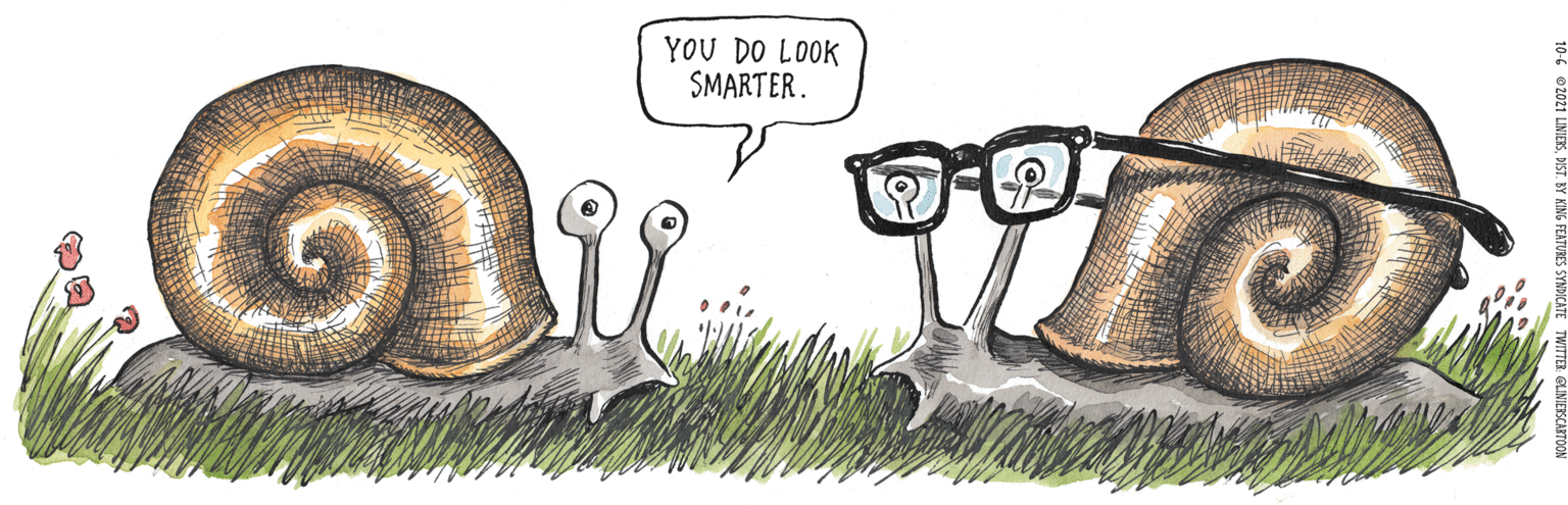 Grass family OCR: YOU DO LOOK SMARTER. YOU DO LOOK SMARTER.