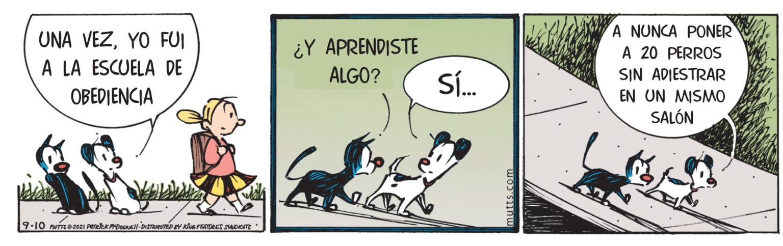 Fiction OCR: A NUNCA PONER A 20 PERROS SIN ADIESTRAR EN UN MISMO SALÓN UNA VEZYO FUI ¿Y APRENDISTE A LA ESCUELA DE ALGO? Sí. OBEDIENCIA A NUNCA PONER A 20 PERROS SIN ADIESTRAR EN UN MISMO SALÓN UNA VEZYO FUI ¿Y APRENDISTE A LA ESCUELA DE ALGO? Sí. OBEDIENCIA