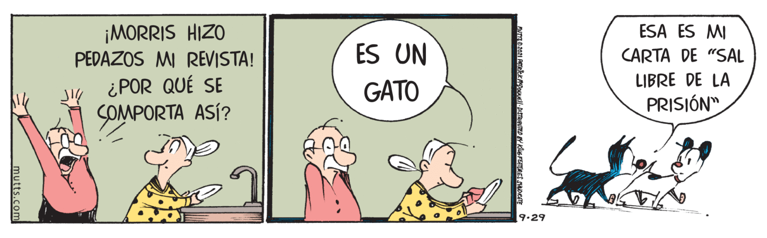 Gesture OCR: ¡MORRIS HIZO PEDAZOS MI REVISTA! ESA ES MI ES UN CARTA DE "SAL LIBRE DE LA ¿POR QUÉ SE GATO PRISIÓN" SOMPORTA ASÍ? 9.29 ¡MORRIS HIZO PEDAZOS MI REVISTA! ESA ES MI ES UN CARTA DE "SAL LIBRE DE LA ¿POR QUÉ SE GATO PRISIÓN" SOMPORTA ASÍ? 9.29