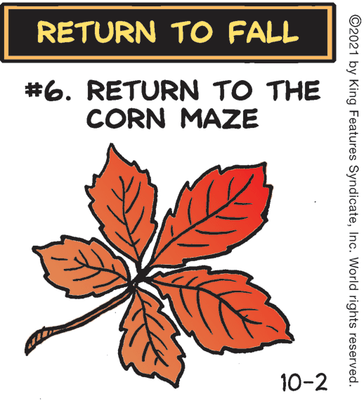 Screenshot OCR: RETURN TO FALL #6. RETURN TO THE CORN MAZE 10-2 ©2021 by King Features SyndicateInc. World rights reserved. RETURN TO FALL #6. RETURN TO THE CORN MAZE 10-2 ©2021 by King Features SyndicateInc. World rights reserved.