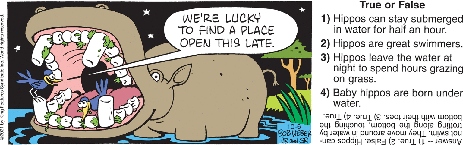 Rectangle OCR: True or False WE'RE LUCKY TO FIND A PLACE OPEN THIS LATE. 1) Hippos can stay submerged in water for half an hour. 2) Hippos are great swimmers. 3) Hippos leave the water at night to spend hours grazing on grass. 4) Baby hippos are born under water. trotting along the bottomtouching the bottom with their toes. 3) True. 4) True. 10-6 not swim. They move around in water by dagaM gog JR and SR Answer -- 1) True. 2) False. Hippos can- True or False WE'RE LUCKY TO FIND A PLACE OPEN THIS LATE. 1) Hippos can stay submerged in water for half an hour. 2) Hippos are great swimmers. 3) Hippos leave the water at night to spend hours grazing on grass. 4) Baby hippos are born under water. trotting along the bottomtouching the bottom with their toes. 3) True. 4) True. 10-6 not swim. They move around in water by dagaM gog JR and SR Answer -- 1) True. 2) False. Hippos can-