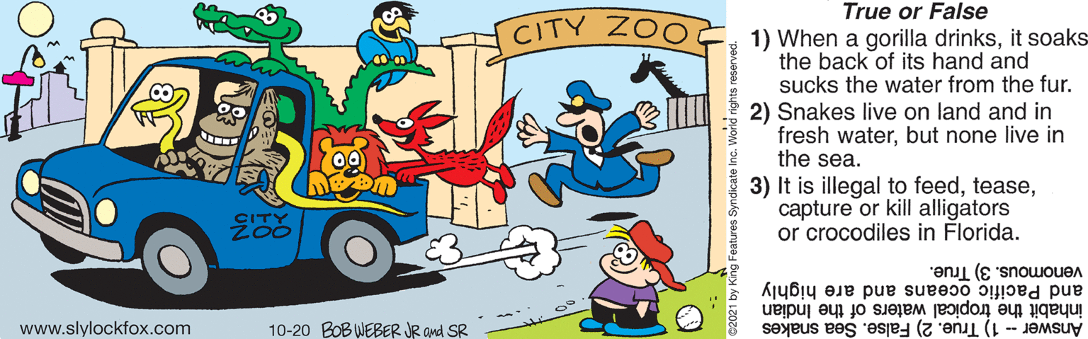 Vehicle OCR: True or False CITY ZOO 1) When a gorilla drinksit soaks the back of its hand and sucks the water from the fur. 2) Snakes live on land and in fresh waterbut none live in the sea. 3) It is illegal to feedcapture or kill alligators or crocodiles in Florida. CITY and Pacific oceans and are highly venomous. 3) True. www.slylockfox.com inhabit the tropical waters of the Indian 10-20 BOBWEBER JR and SR Answer -- 1) True. 2) False. Sea snakes ©2021 by King Features Syndicate Inc. World rights reserve True or False CITY ZOO 1) When a gorilla drinksit soaks the back of its hand and sucks the water from the fur. 2) Snakes live on land and in fresh waterbut none live in the sea. 3) It is illegal to feedcapture or kill alligators or crocodiles in Florida. CITY and Pacific oceans and are highly venomous. 3) True. www.slylockfox.com inhabit the tropical waters of the Indian 10-20 BOBWEBER JR and SR Answer -- 1) True. 2) False. Sea snakes ©2021 by King Features Syndicate Inc. World rights reserve