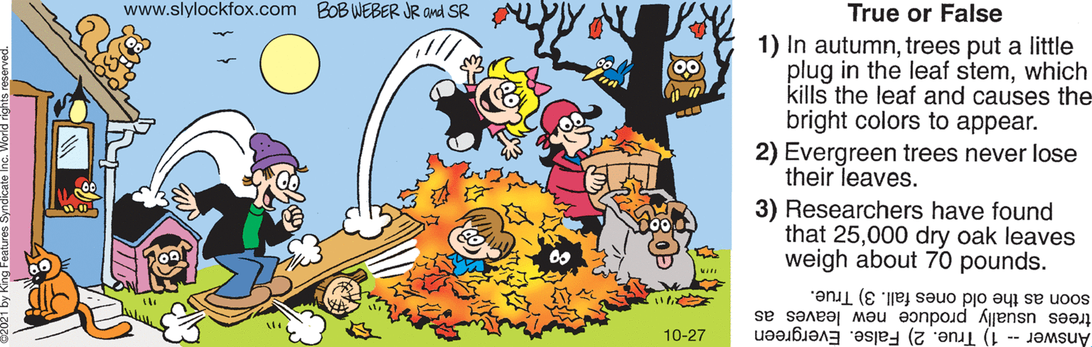 Rectangle OCR: www.slylockfox.com BOB WEBER JR and SR True or False 1) In autumntrees put a little plug in the leaf stemwhich kills the leaf and causes the bright colors to appear. 2) Evergreen trees never lose their leaves. 3) Researchers have found that 25000 dry oak leaves weigh about 70 pounds. soon as the old ones fall. 3) True. trees usually produce new leaves as Answer -- 1) True. 2) False. Evergreen 10-27 www.slylockfox.com BOB WEBER JR and SR True or False 1) In autumntrees put a little plug in the leaf stemwhich kills the leaf and causes the bright colors to appear. 2) Evergreen trees never lose their leaves. 3) Researchers have found that 25000 dry oak leaves weigh about 70 pounds. soon as the old ones fall. 3) True. trees usually produce new leaves as Answer -- 1) True. 2) False. Evergreen 10-27