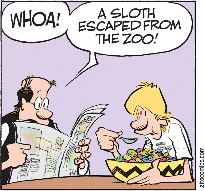 Mammal OCR: A SLOTH ESCAPED FROM THE ZOO! WHOA! zitscomics.com A SLOTH ESCAPED FROM THE ZOO! WHOA! zitscomics.com