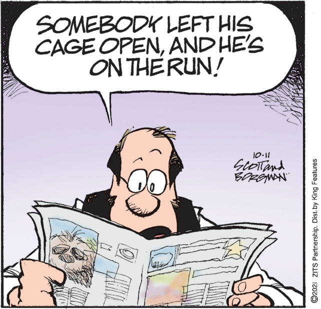 Publication OCR: SOMEBODK LEFT HIS CAGE OPENAND HE'S ON THERUN! 10-11 GLOTTand BORÉNON ©2021 ZITS Partnership. Dist. by King Features SOMEBODK LEFT HIS CAGE OPENAND HE'S ON THERUN! 10-11 GLOTTand BORÉNON ©2021 ZITS Partnership. Dist. by King Features