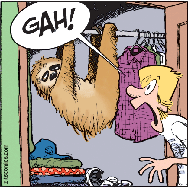 Rectangle OCR: GAH! zitscomics.com GAH! zitscomics.com