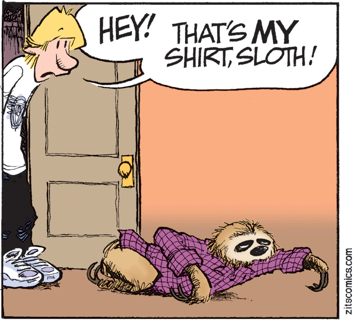 Illustration OCR: HEY! THAT'S MY SHIRTSLOTH! zitscomics.com HEY! THAT'S MY SHIRTSLOTH! zitscomics.com