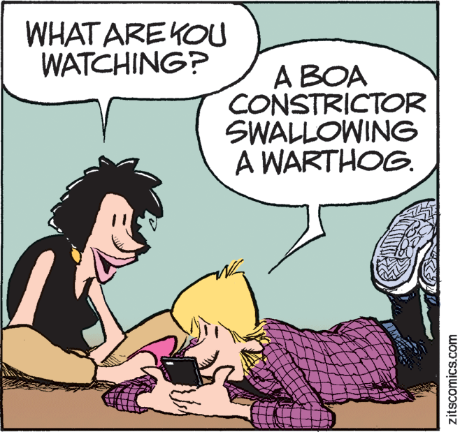 Mammal OCR: WHAT ARE KOU WATCHING? A BOA CONSTRICTOR SWALLOWING A WARTHOG. zitscomics.com WHAT ARE KOU WATCHING? A BOA CONSTRICTOR SWALLOWING A WARTHOG. zitscomics.com