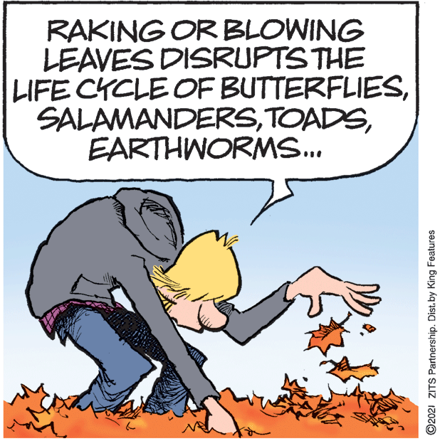 Adaptation OCR: RAKING OR BLOWING LEAVES DISRUPTS THE LIFE CYCLE OF BUTTERFLIESEARTHWORMS.. ©2021 ZITS Partnership. Dist. by King Features RAKING OR BLOWING LEAVES DISRUPTS THE LIFE CYCLE OF BUTTERFLIESEARTHWORMS.. ©2021 ZITS Partnership. Dist. by King Features