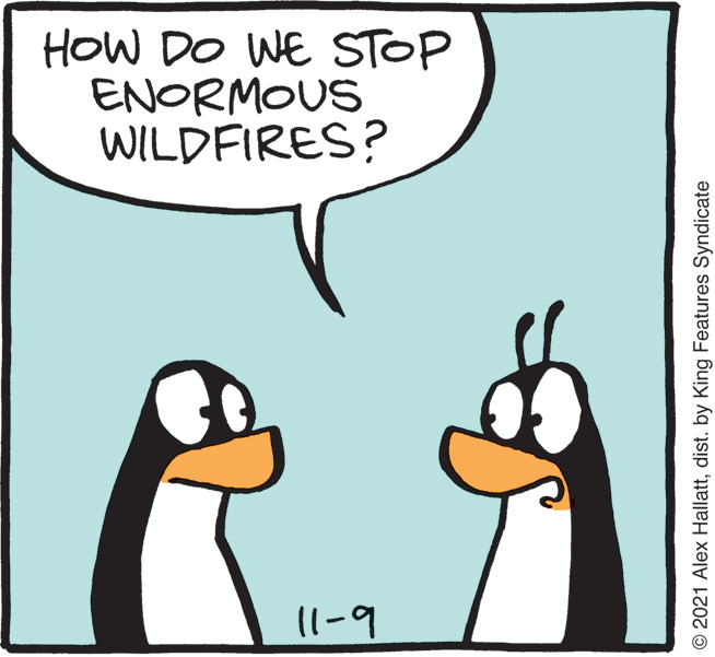 Bird OCR: HOW DO WE STOP ENORMOUS WILDFIRES? 11-9 © 2021 Alex Hallattdist. by King Features Syndicate HOW DO WE STOP ENORMOUS WILDFIRES? 11-9 © 2021 Alex Hallattdist. by King Features Syndicate