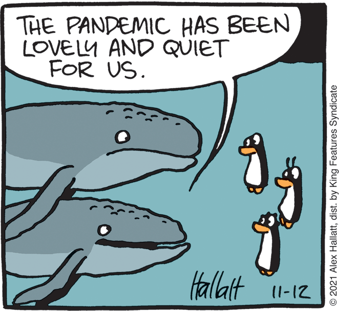 Font OCR: THE PANDEMIC HAS BEEN LOVELY AND QUIET FOR US. Halit 11-12 © 2021 Alex Hallattdist. by King Features Syndicate THE PANDEMIC HAS BEEN LOVELY AND QUIET FOR US. Halit 11-12 © 2021 Alex Hallattdist. by King Features Syndicate