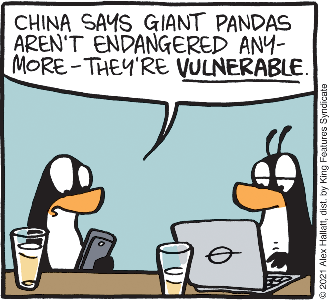 Illustration OCR: CHINA SAYS GIANT PANDAS AREN'T ENDANGERED ANY- MORE-THEY'RE VULNERABLE. © 2021 Alex Hallattdist. by King Features Syndicate CHINA SAYS GIANT PANDAS AREN'T ENDANGERED ANY- MORE-THEY'RE VULNERABLE. © 2021 Alex Hallattdist. by King Features Syndicate