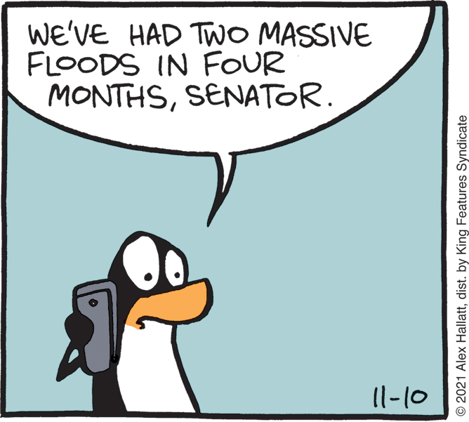 Rectangle OCR: WE'VE HAD TWO MASSIVE FLOODS IN FOUR MONTHSSENATOR. 11-10 O2021 Alex Hallattdist. by King Features Syndicate WE'VE HAD TWO MASSIVE FLOODS IN FOUR MONTHSSENATOR. 11-10 O2021 Alex Hallattdist. by King Features Syndicate