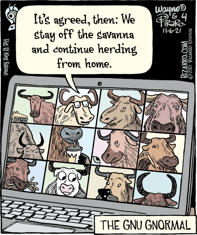 Publication OCR: Wayno® It's agreedthen: We stay off the savanna and continue herding 11.6-21 from home. THE GNU GNORMAL Dist. Y King featuras BIZARRO.COM ©2021 BIZARRO STUDIOS Wayno® It's agreedthen: We stay off the savanna and continue herding 11.6-21 from home. THE GNU GNORMAL Dist. Y King featuras BIZARRO.COM ©2021 BIZARRO STUDIOS
