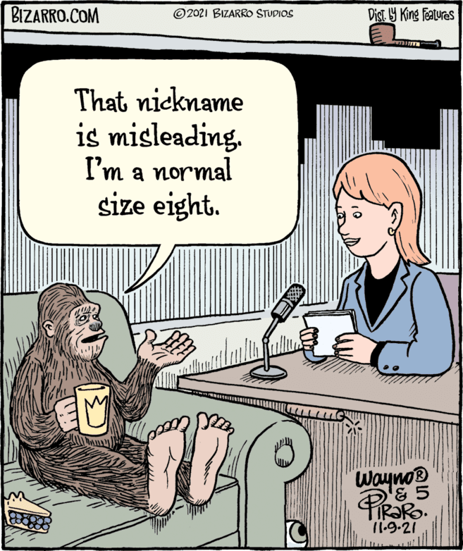 Line OCR: BIZARRO.COM ©2021 BIZARRO STUDIOS Dist Y King featuras That nickname is misleading. I'm a normal size eight. Wayno® PiraRo TIR?RO. 11.9.21 BIZARRO.COM ©2021 BIZARRO STUDIOS Dist Y King featuras That nickname is misleading. I'm a normal size eight. Wayno® PiraRo TIR?RO. 11.9.21