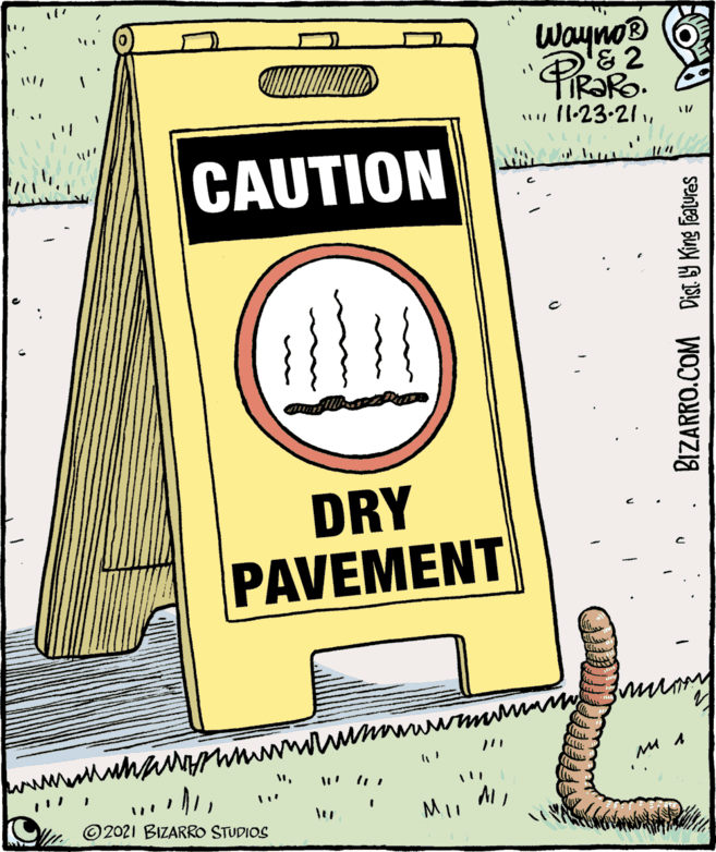 Brand OCR: Wayno® CAUTION DRY PAVEMENT © 2021 BIZARRO STUDIOS MI. BIZARRO.COM Dist. 19 King Features Wayno® CAUTION DRY PAVEMENT © 2021 BIZARRO STUDIOS MI. BIZARRO.COM Dist. 19 King Features