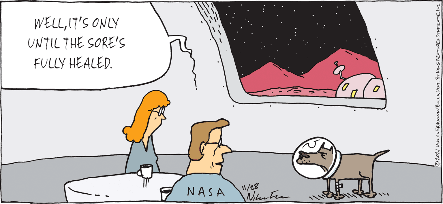 Font OCR: WELLIT'S ONLY UNTIL THE SORE's FULLY HEALED. D. NASA I1/18 O2021 NIKLAS ERIKSSON/BULLSIN. WELLIT'S ONLY UNTIL THE SORE's FULLY HEALED. D. NASA I1/18 O2021 NIKLAS ERIKSSON/BULLSDIST. BY KING FEATURES SYNDICATE