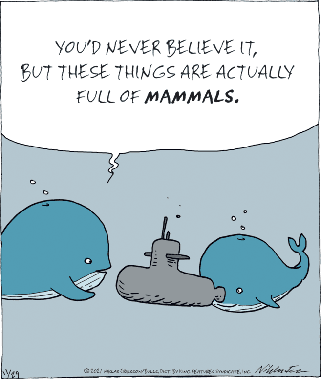 Sharing OCR: YOU'D NEVER BELIEVE ITBUT THESE THINGS ARE ACTUALLY FULL OF MAMMALS. © 2021 NIKLAS ERIKSSON/BULLSINC. Nihlnte YOU'D NEVER BELIEVE ITBUT THESE THINGS ARE ACTUALLY FULL OF MAMMALS. © 2021 NIKLAS ERIKSSON/BULLSDIST. BY KING FEATURES SYNDICATEINC. Nihlnte